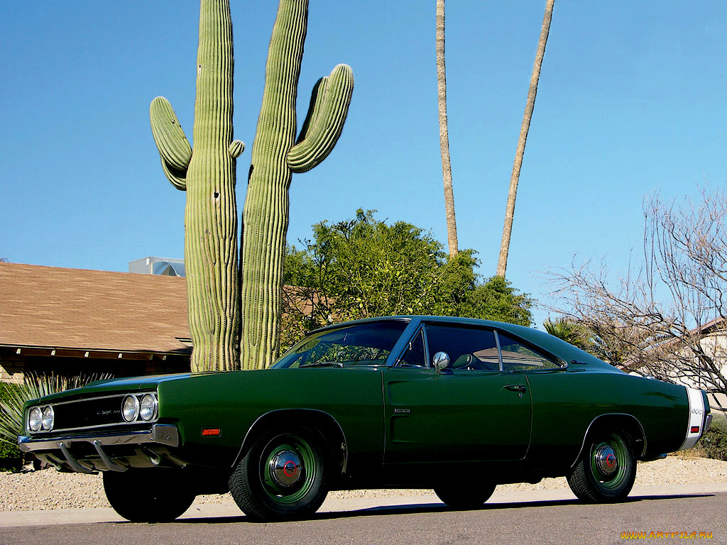 , dodge